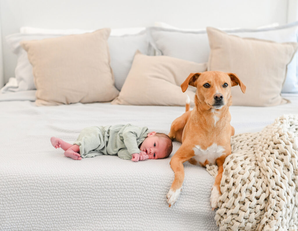 home newborn session in nj