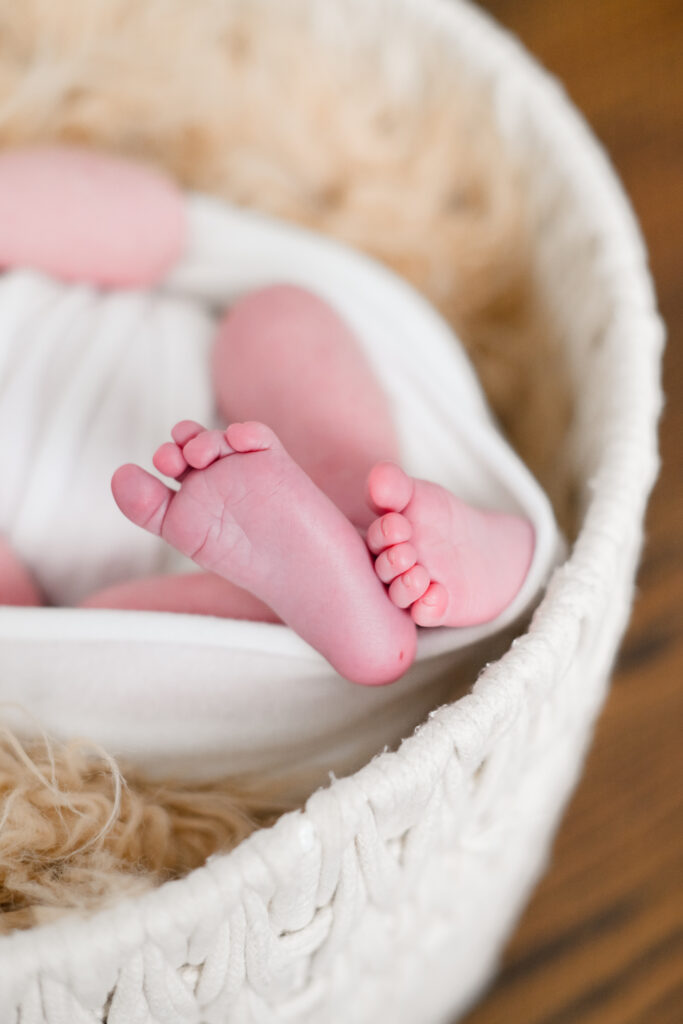 home newborn session in nj