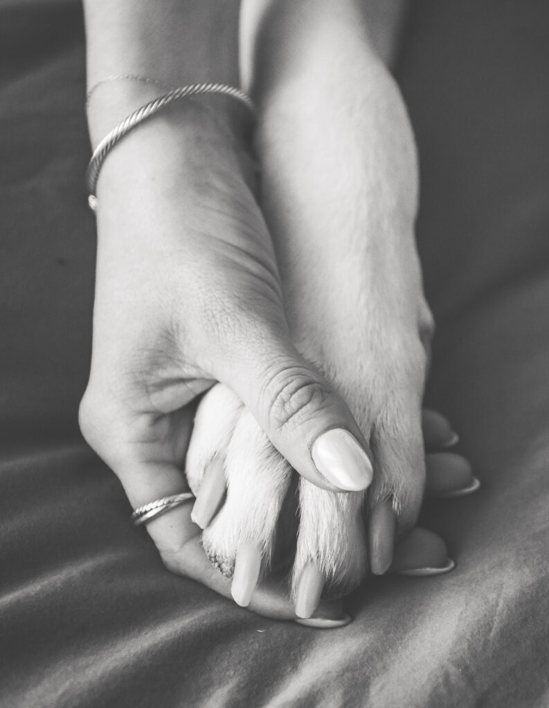 NJ Lifestyle Pet Session
