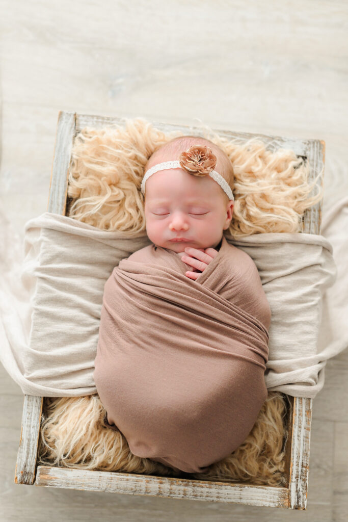 studio newborn & sibling session