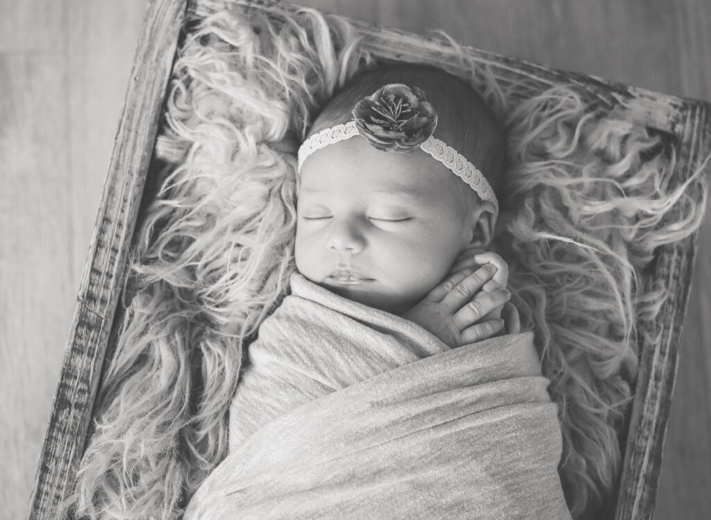 studio newborn & sibling session